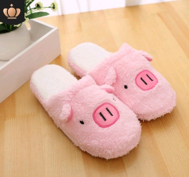 Men's and Women's Warm Home Soft Slippers